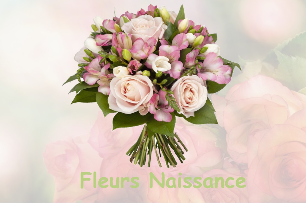 fleurs naissance ROUSSY-LE-VILLAGE
